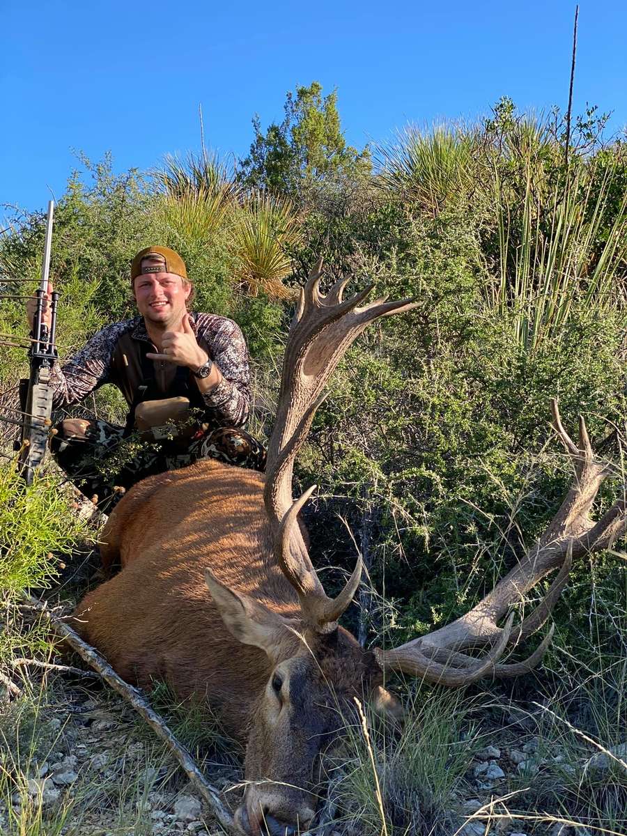 Red Stag Hunts In Texas South Texas Red Stag Hunting Ranch