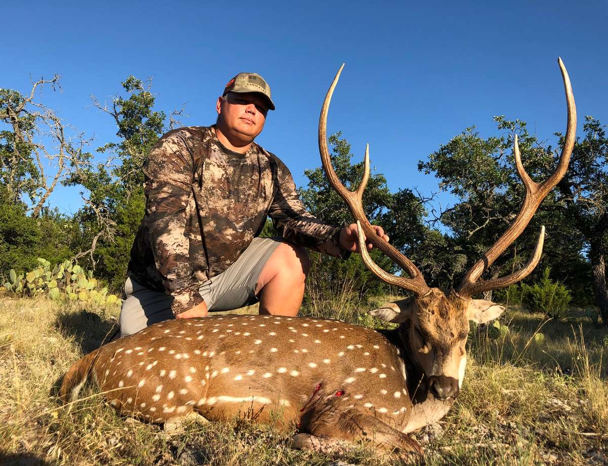 Axis Deer Hunts in Texas | All Seasons Guide Service