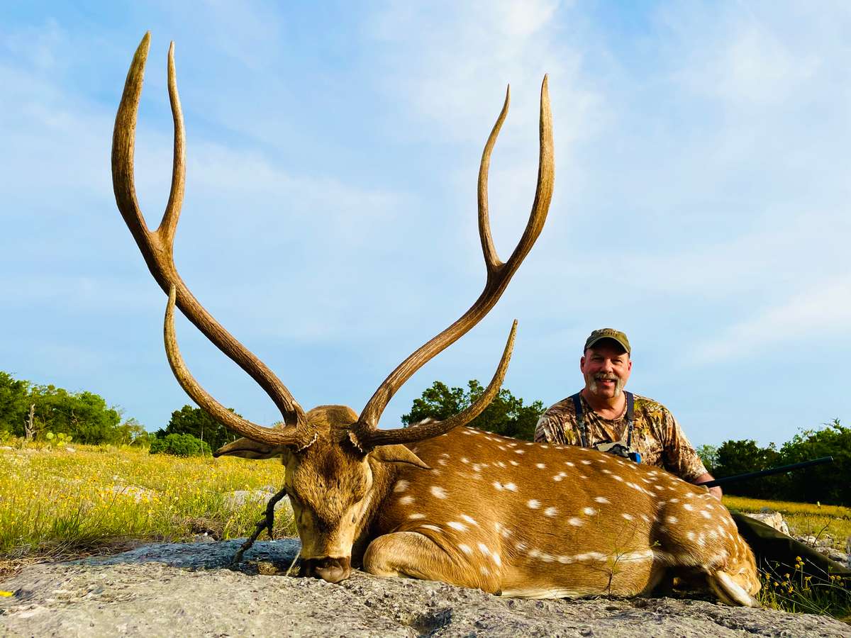 free range axis hunts in Texas
