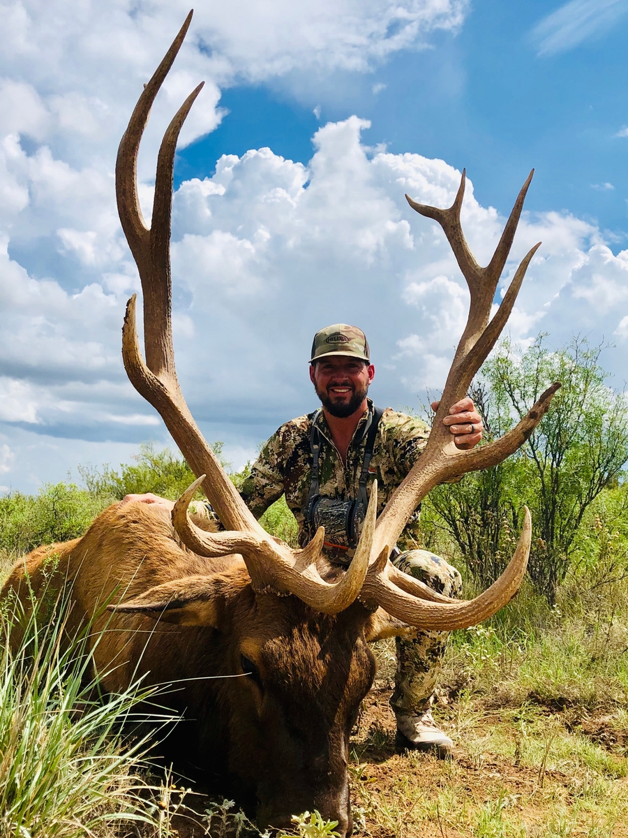 elk hunting trips texas