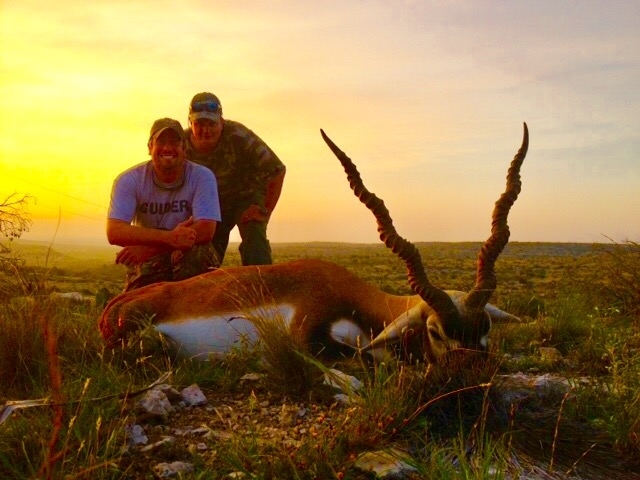 Blackbuck