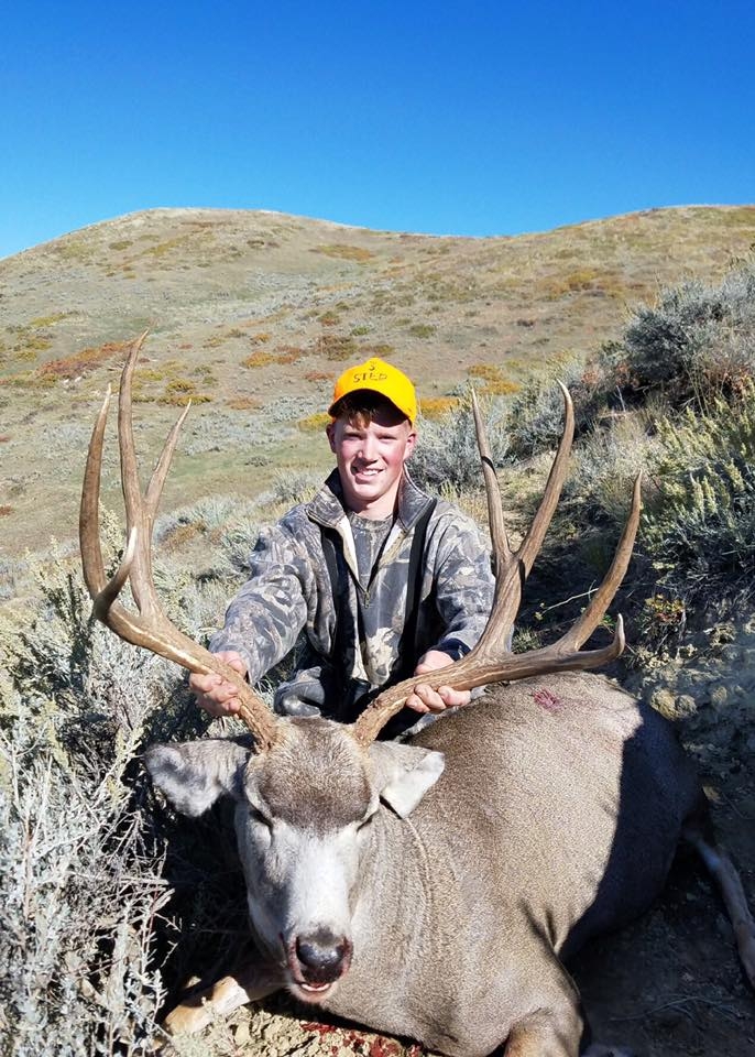 Texas Mule Deer Season 2024 - Elvera Grethel