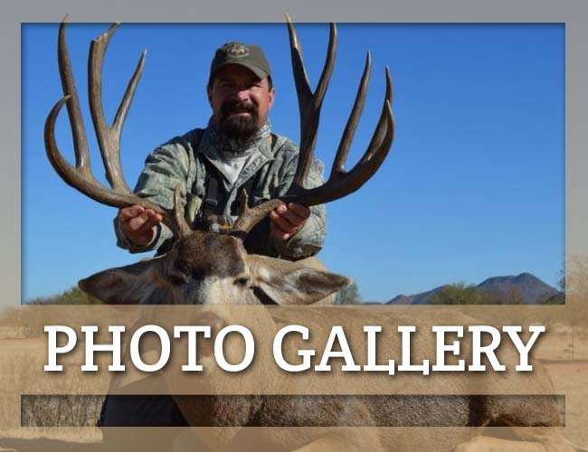 Photo Gallery