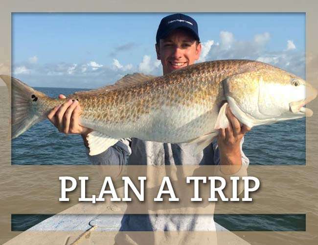 Trip Planner