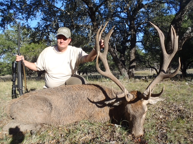 Texas Red Stag Hunt